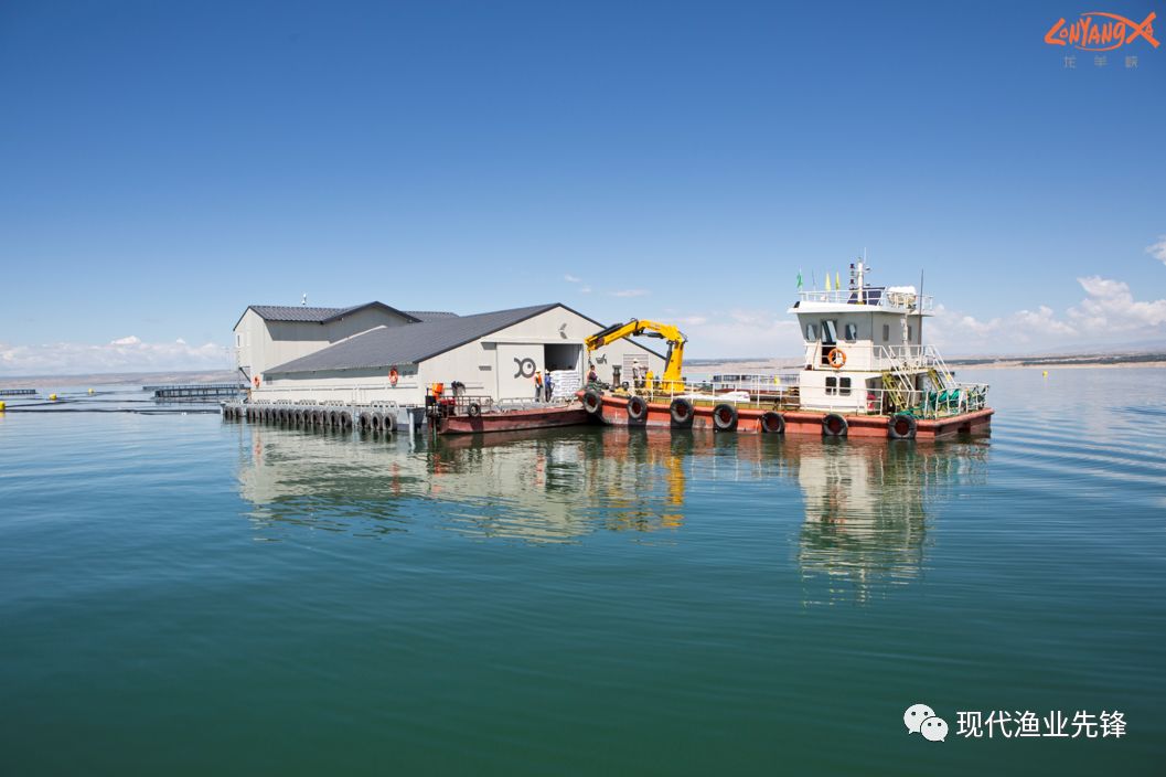 第三批中国特色农产品优势区公布，龙羊峡三文鱼榜上有名!