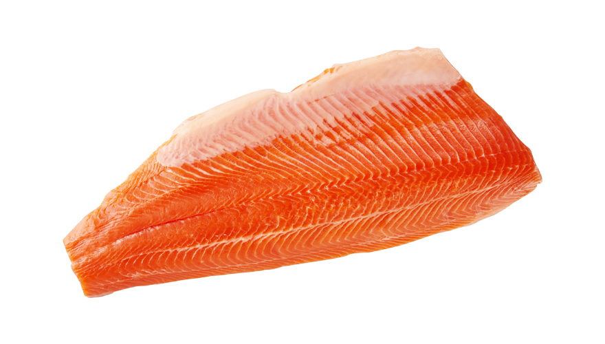 Longyang Zhixian Salmon (Rainbow Trout)