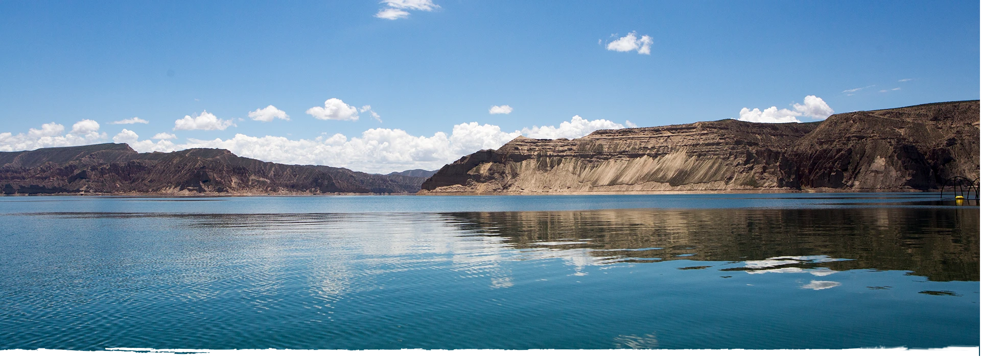 Longyang Zhixian Salmon (Rainbow Trout)