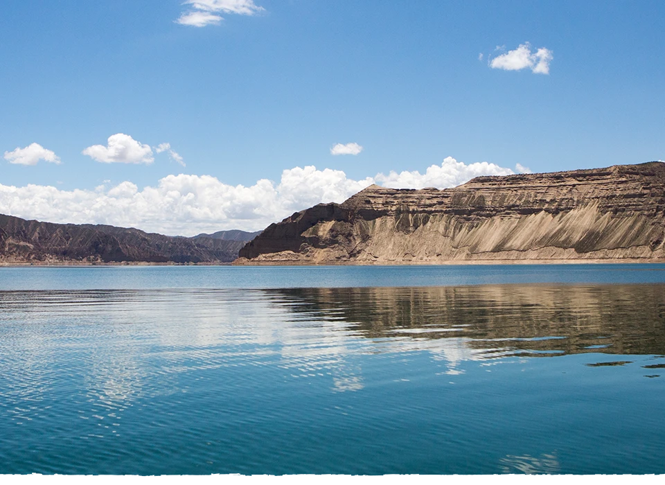 Longyang Zhixian Salmon (Rainbow Trout)