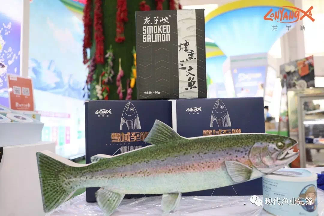 坚守绿色发展，民泽龙羊峡亮相第二十届“青洽会”