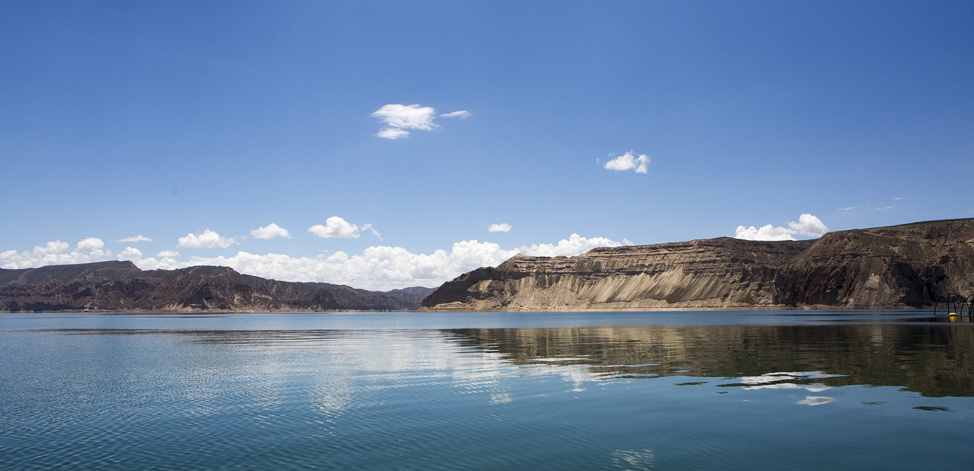 Longyang Zhixian Salmon (Rainbow Trout)