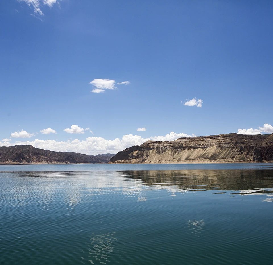 Longyang Zhixian Salmon (Rainbow Trout)