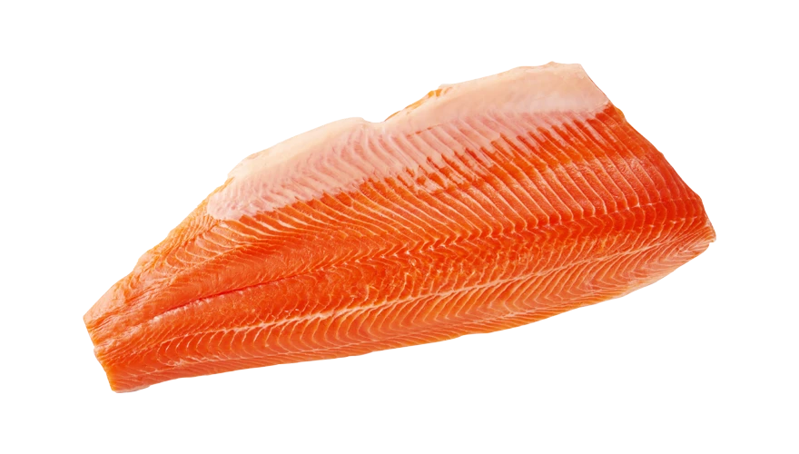 Longyang Zhixian Salmon (Rainbow Trout)