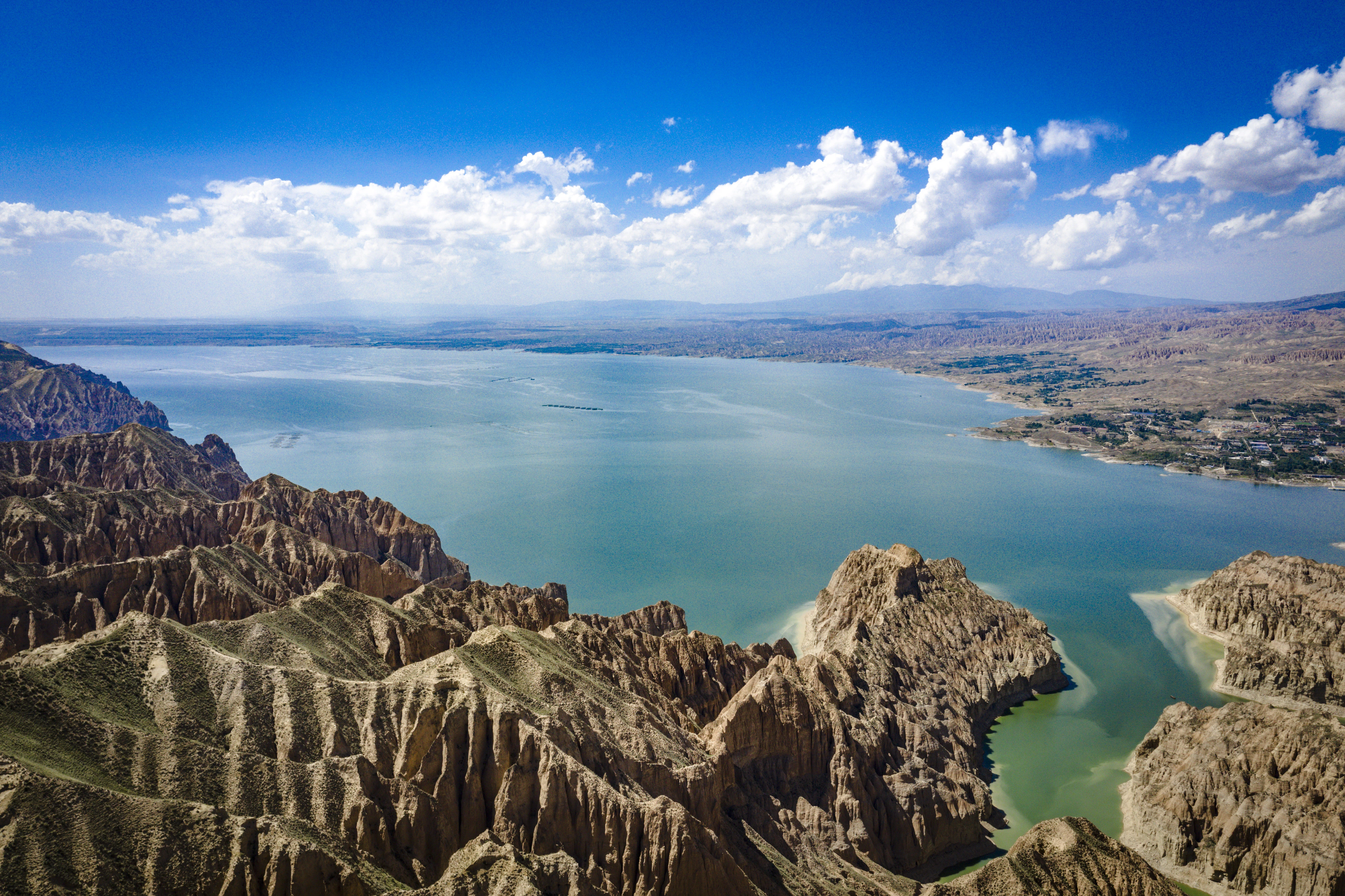 新华社| 龙羊峡三文鱼占国产三文鱼出口量97%