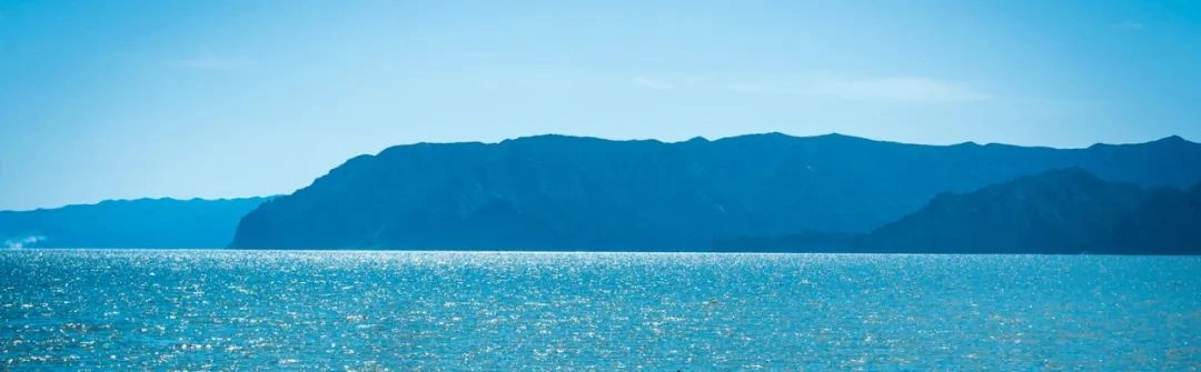 中国国际渔业博览会 (1).webp