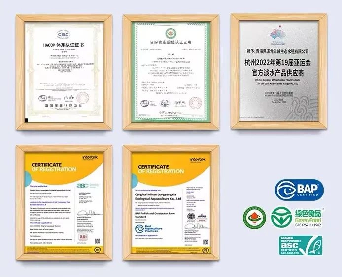 海峡两岸现代农业·花卉博览会 (5).webp