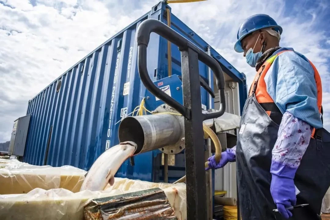 海峡两岸现代农业·花卉博览会 (7).webp