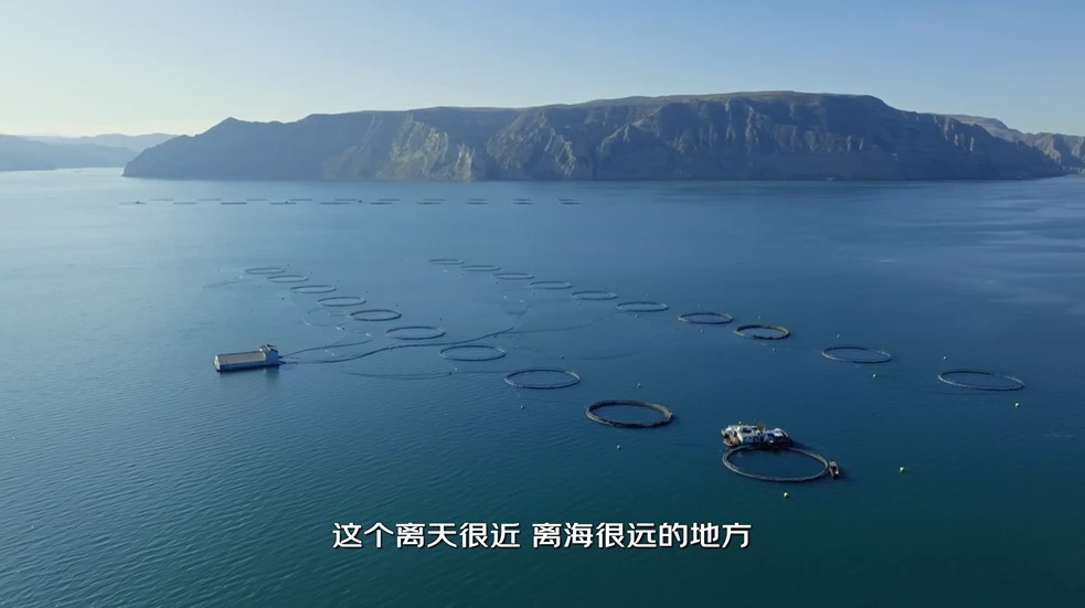 图片4.webp 图片4.webp